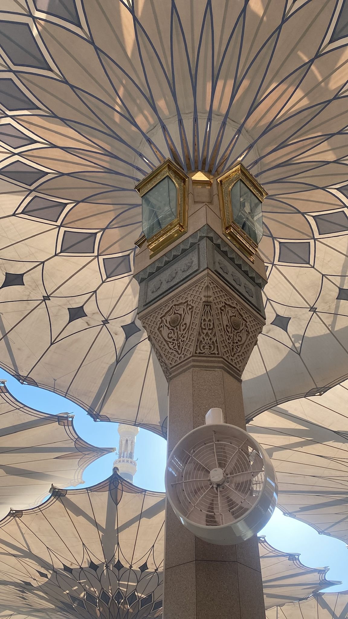 whatsapp image 2025 11 20 at 12.14.18 00b16a5a